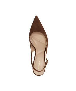 Celinna - Brown