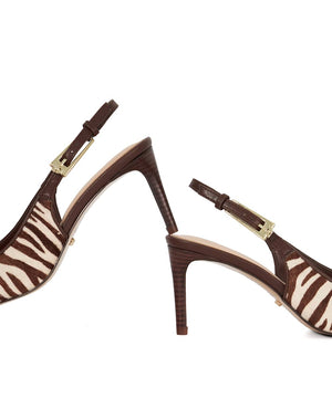 Closed - Zebra
