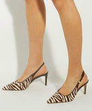 Closed - Zebra