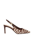 Closed - Zebra