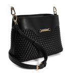 Dinidelphi - Black