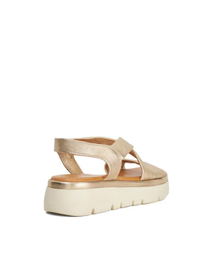Lounge - Gold