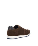Toulous - Brown