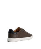 Traces - Brown
