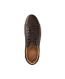 Traces - Brown