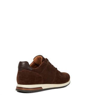 Trilogy - Brown