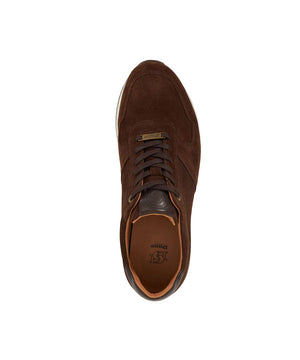 Trilogy - Brown