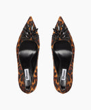 Bowemont - Leopard