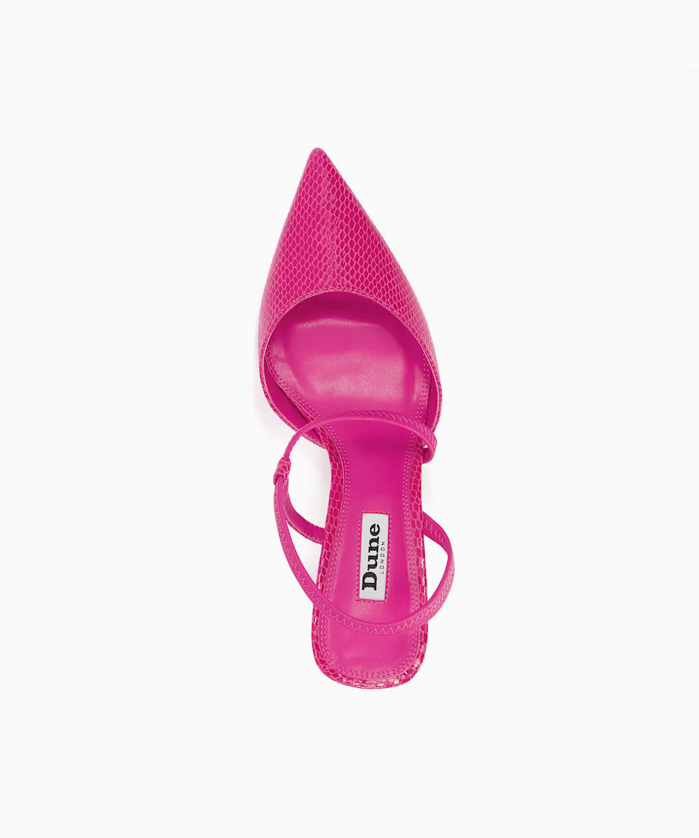 Colombia - Pink Lizard