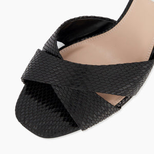 Montanna Di - Black