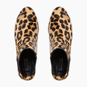 Ozzi  - Leopard