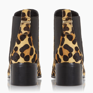 Ozzi  - Leopard